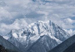 期雪